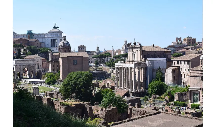 Colosseum, Roman Forum & Palatine Hill + Guided Tour