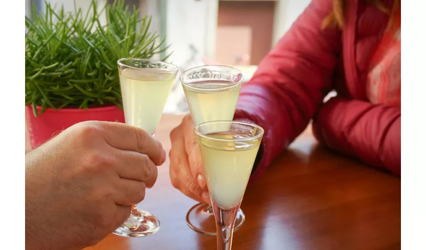 Amalfi Coast & Pompeii: Day Tour from Rome + Limoncello Tasting