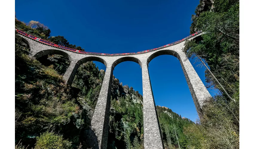 Trenino Rosso del Bernina e Treno dei Ghiacciai: Gita di un giorno da Milano