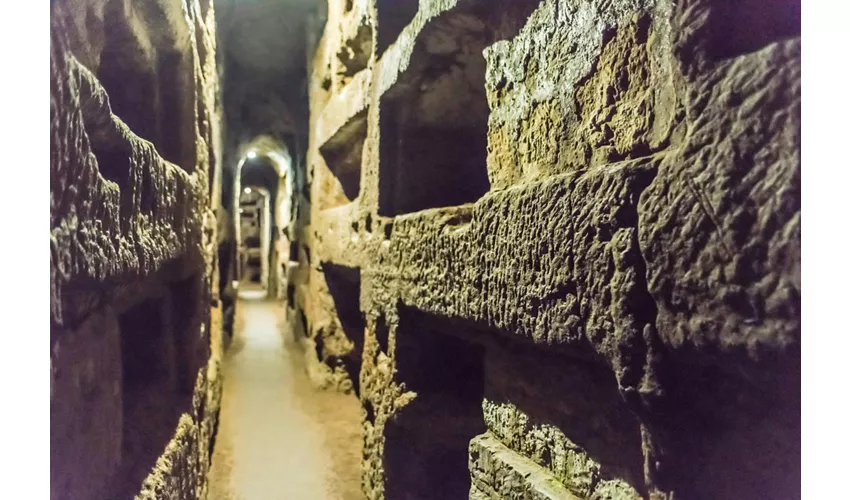 Appia Antica e Catacombe di San Callisto Roma: Biglietto d'ingresso, visita guidata + trasferimento