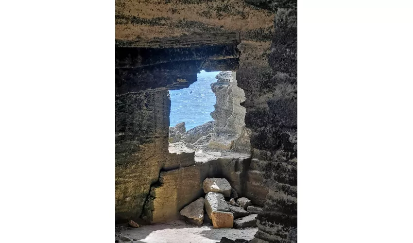 Favignana y Levanzo: Excursión en barco desde Trapani + Comida