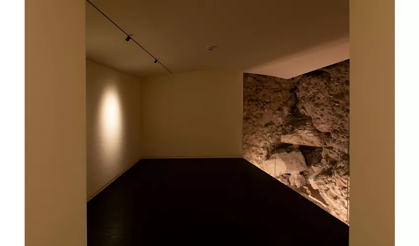 FOROF Archeologia e Arte Contemporanea: Biglietto d'ingresso