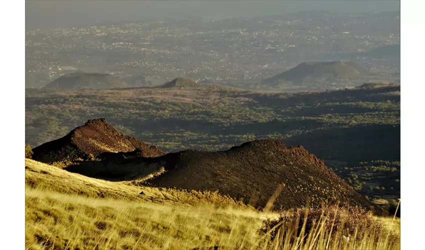 Monte Etna y Cueva del Flujo de Lava: Visita guiada