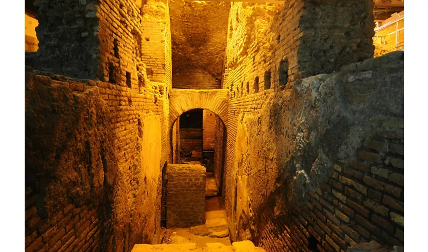 Stadium of Domitian & Trevi Fountain Rome: Stadium Visit + Trevi Guided Tour
