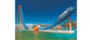 Mirabilandia: Entrada