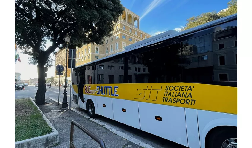 Rome: Civitavecchia Transfer + Hop-on Hop-off Bus Tour Combi