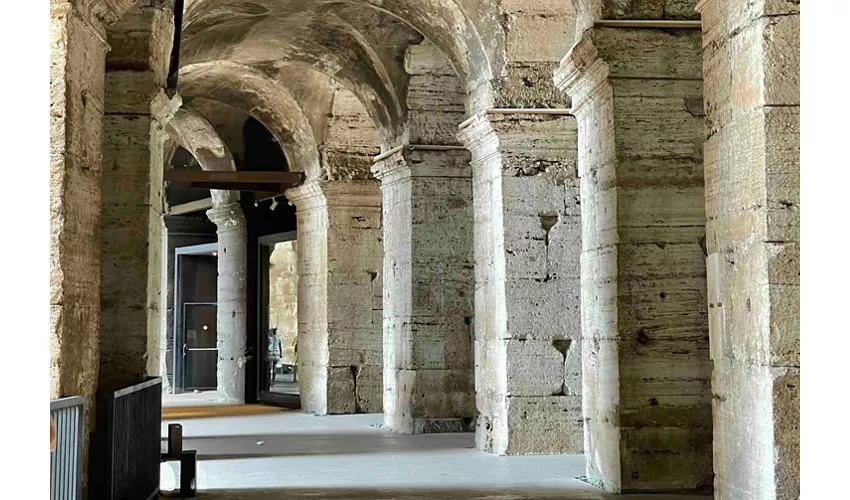 Coliseo, Foro Romano y monte Palatino + Tour guiado exprés