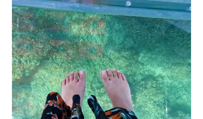 Siracusa: Tour in barca trasparente della costa e delle grotte marine + sosta per nuotare