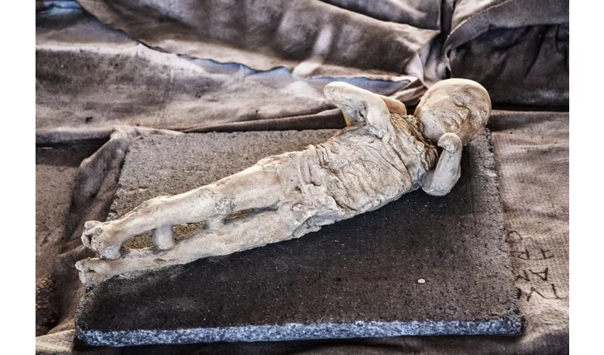 Pompei: Biglietto salta-coda + Treno ad alta velocità da Roma