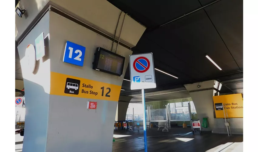 Roma: SIT Traslado en autobús del aeropuerto de Fiumicino a Roma Termini