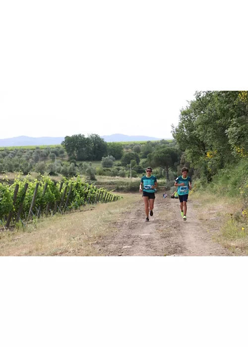 Chianti Classico Marathon