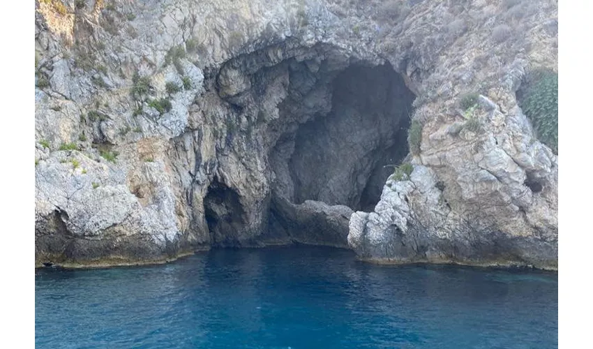 Taormina: Excursión con delfines al atardecer + Aperitivo