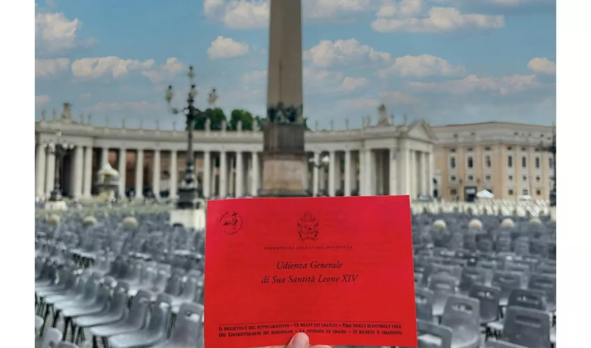 Città del Vaticano: Tour guidato + udienza papale