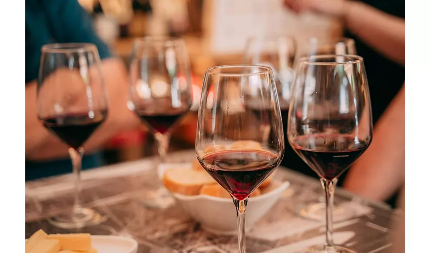 Verona: Cata de vinos Amarone