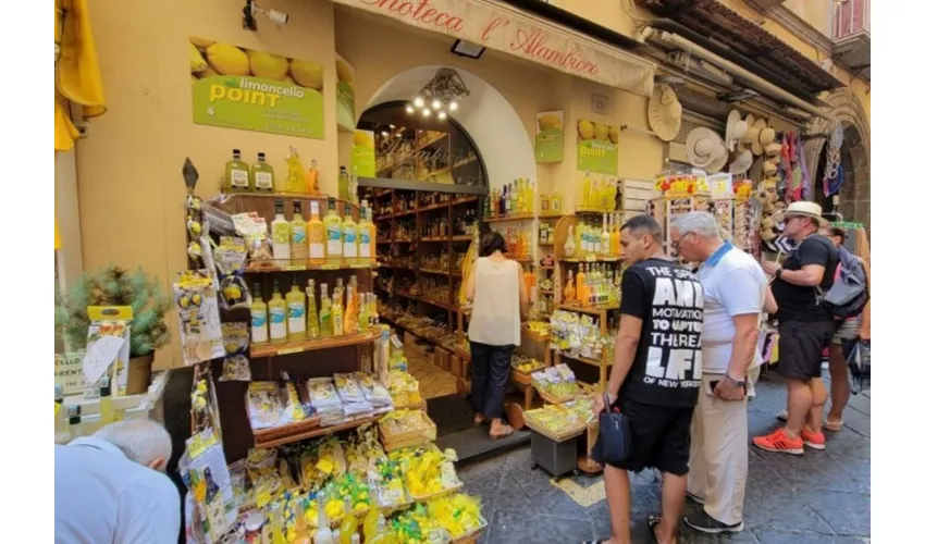 Pompei: Tour guidato per piccoli gruppi da Roma + visita di Sorrento