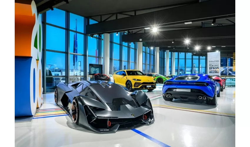 Museo Lamborghini y Museo Enzo Ferrari: Entrada