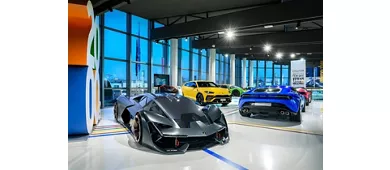 Museo Lamborghini y Museo Enzo Ferrari: Entrada