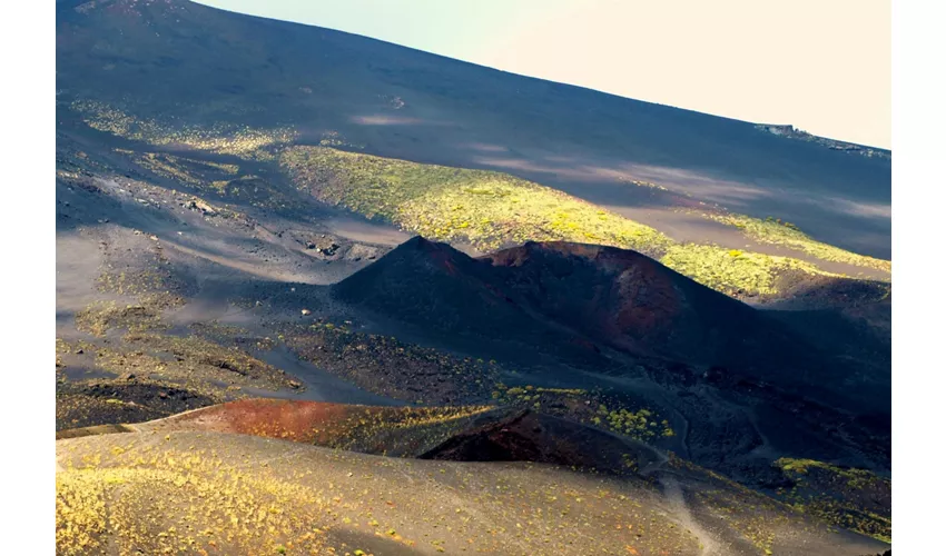 Etna: Excursión desde Catania