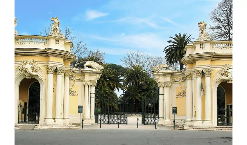 Bioparco di Roma: Biglietto d'ingresso + Panino