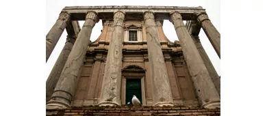 Colosseo, Arena, Foro Romano e Palatino + Tour guidato semi-privato