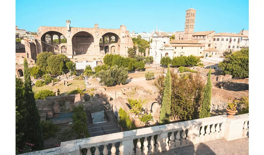 Tour guidato del Colosseo, Foro Romano e Palatino