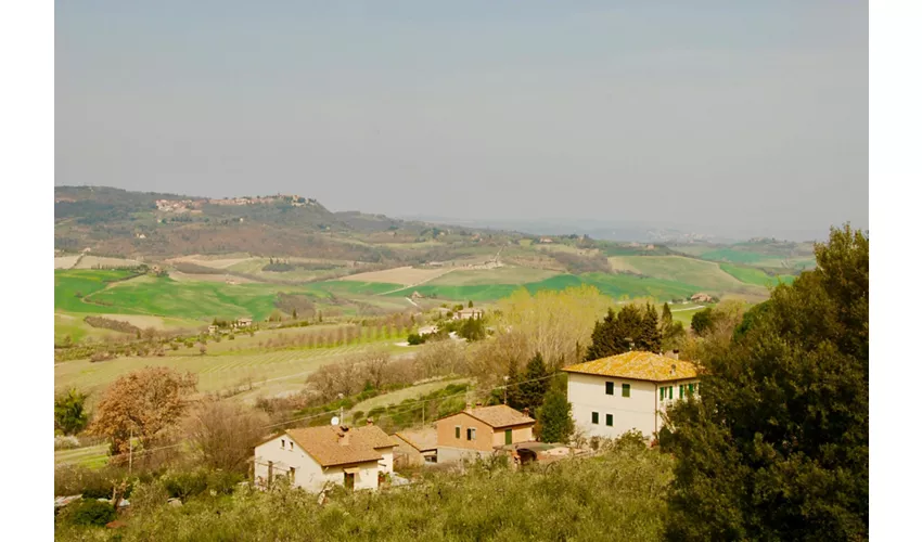 Gita in Toscana da Roma con Pranzo Incluso