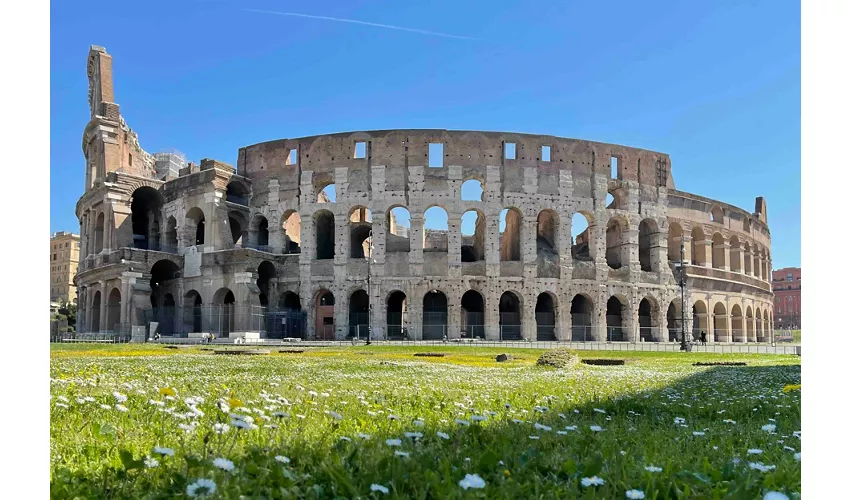 Coliseo, Foro Romano y monte Palatino + Tour guiado exprés