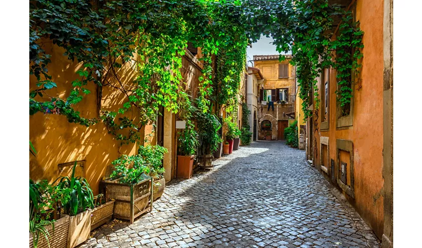 Trastevere, Fontana di Trevi e Isola Tiberina Roma: Tour guidato, crociera e degustazione