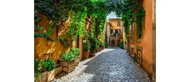 Trastevere, Fontana di Trevi e Isola Tiberina Roma: Tour guidato, crociera e degustazione