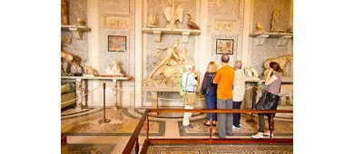 Vatican Museums & St. Peter's Basilica: Fast Track Ticket + Guided Tour