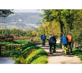 Amarone Wine e-Bike Tour in Valpolicella