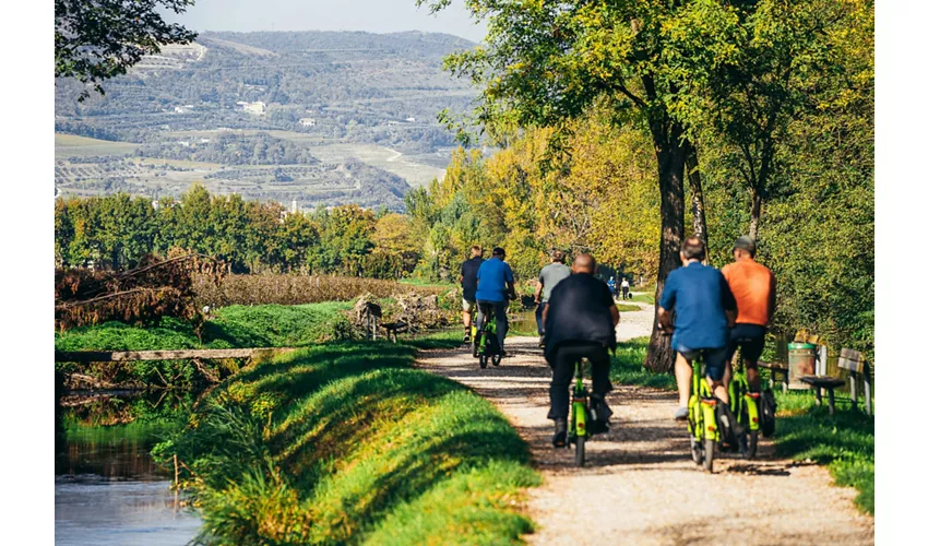 Ruta en e-Bike por el vino Amarone en Valpolicella