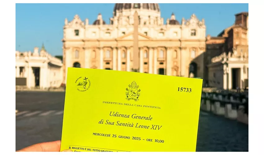 Petersdom: Führung + Papstaudienz