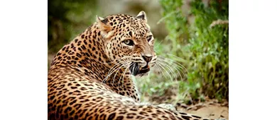 Jardim Zoológico de Abruzzo: bilhete de entrada
