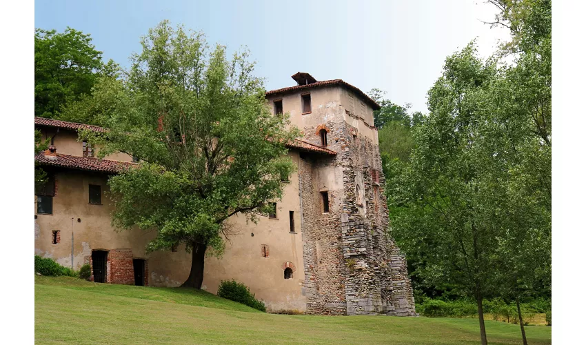 Torba Monastery: Entry Ticket