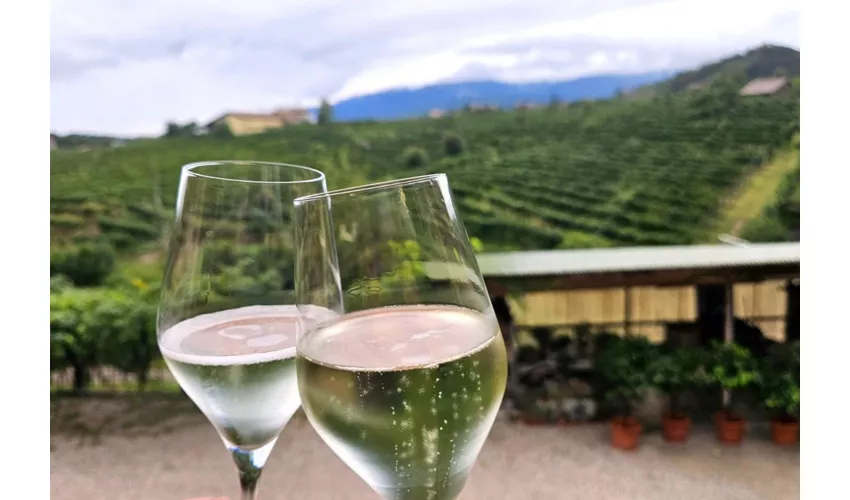 Venezia: Tour guidato del Prosecco + trasferimento + degustazione di vini + pranzo