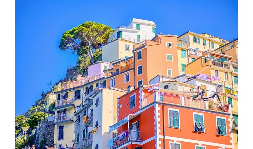 Cinque Terre National Park: Entry Ticket + Guided Day Trip from Milan