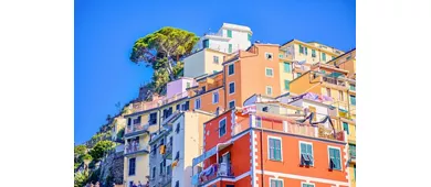Cinque Terre National Park: Entry Ticket + Guided Day Trip from Milan