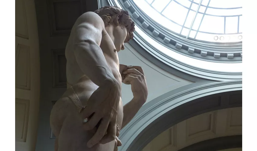 Galleria dell'Accademia e degli Uffizi: Tour guidato + viaggio di andata e ritorno da Roma