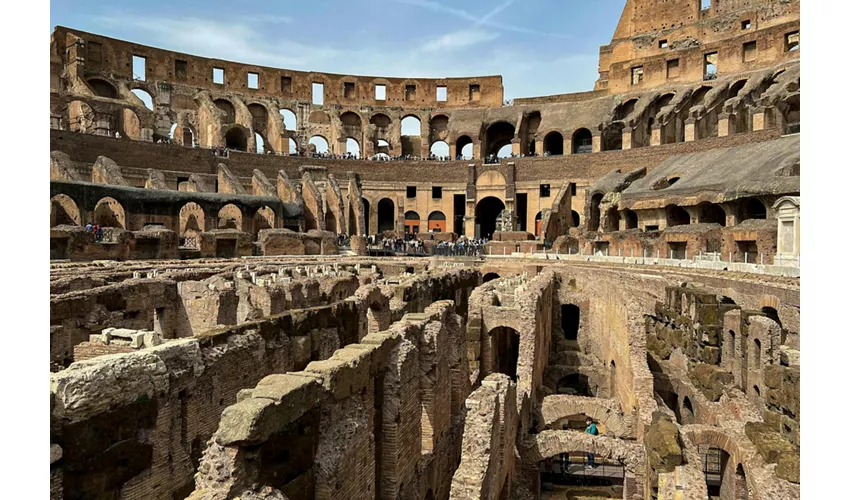 Colosseum, Arena, Underground, Forum & Palatine Hill + Guided Tour