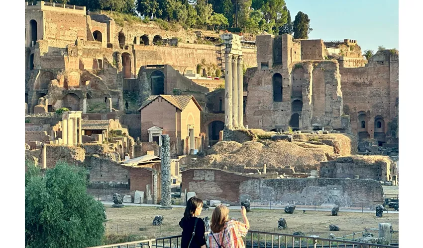 Colosseo, Foro Romano e Palatino + Tour guidato