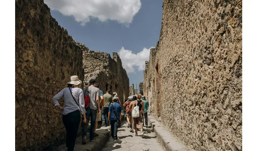 Pompeya: Entrada + Comida y Cata de Vinos en el Vesubio + Viaje de ida y vuelta desde Roma