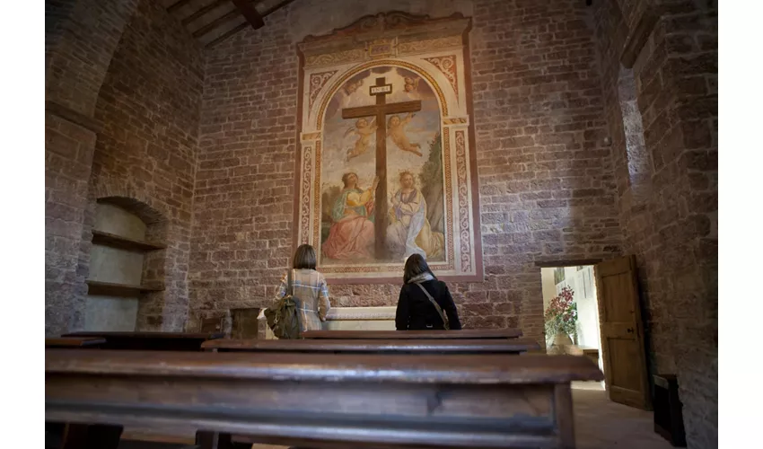 Bosco di San Francesco: Biglietto d'ingresso