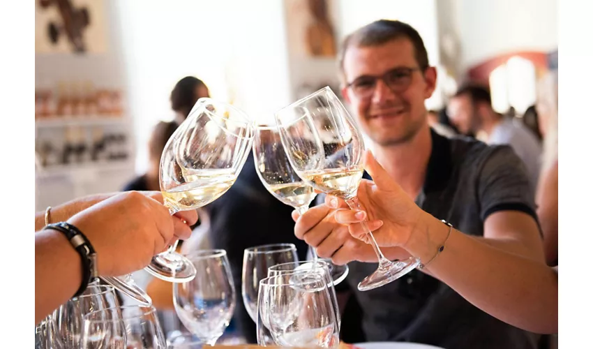 Lago de Garda: Excursión de 4 horas en barco con los Castillos Escalígeros + Cata de Vinos desde Sirmione