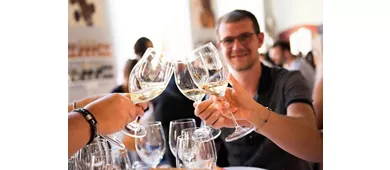 Lago di Garda: Tour in barca di 4 ore con Castelli Scaligeri + Degustazione vini