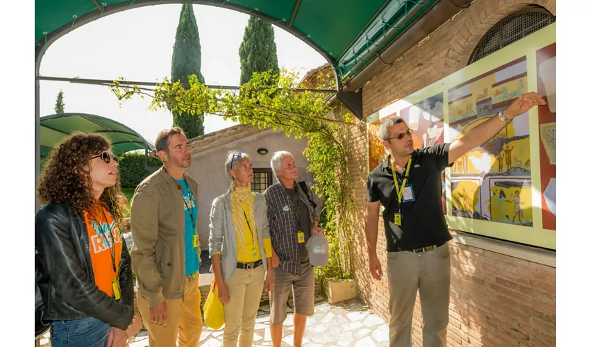 Appia Antica e Catacombe di San Callisto Roma: Biglietto d'ingresso, visita guidata + trasferimento