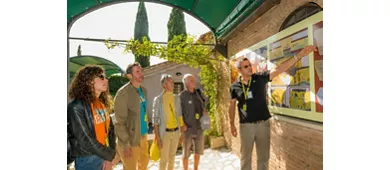 Appia Antica & St. Callisto Catacombs Rome: Guided Tour + Transfer