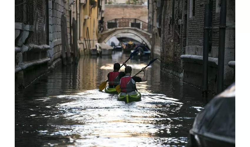 Venice: Guided Sunset Kayak Tour