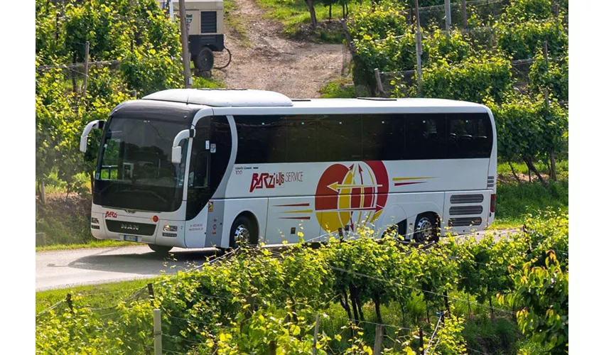 Venezia: Barzi Service Trasferimento in autobus dall'aeroporto di Treviso