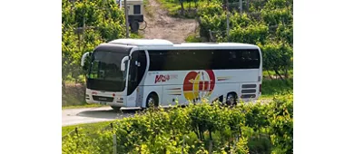Venezia: Barzi Service Trasferimento in autobus dall'aeroporto di Treviso